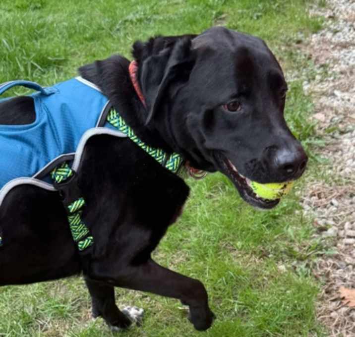 Photo of Gus