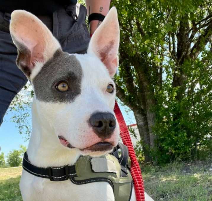Photo of Nyla