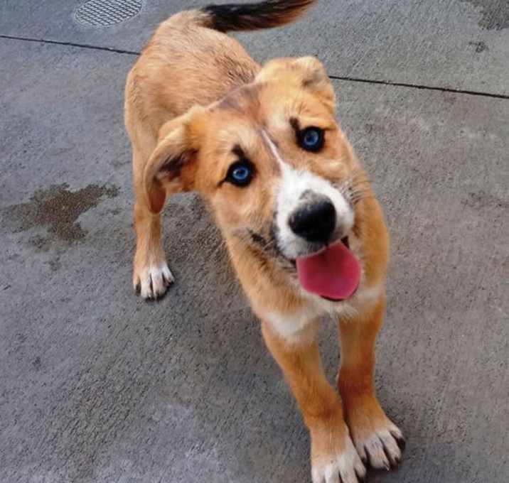 Photo of Huck