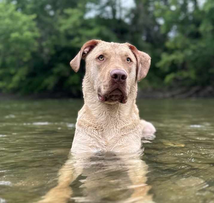 Photo of Gus