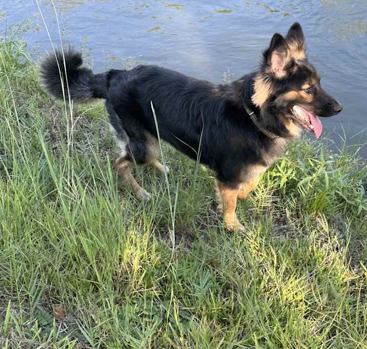 Photo of Pedro