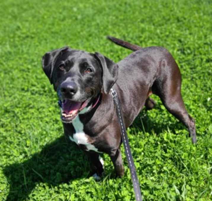 Photo of Violet