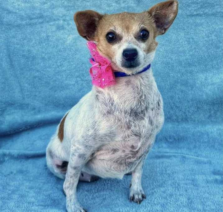 Photo of Shirley