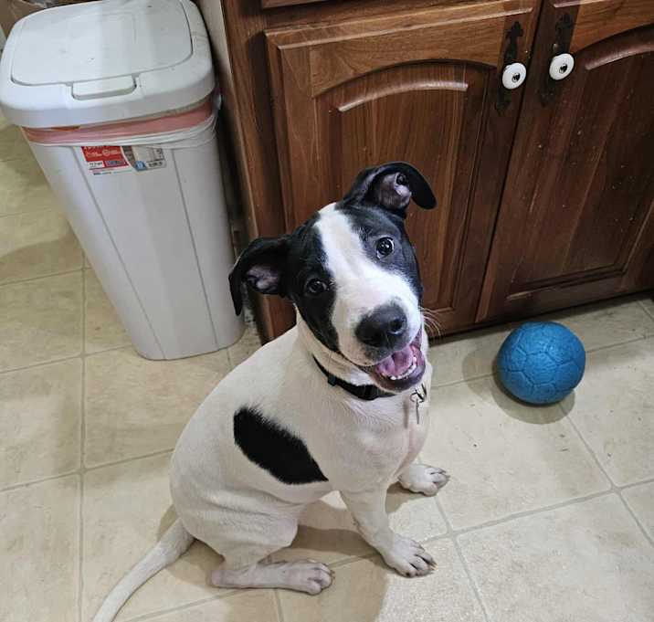 Photo of Zeb