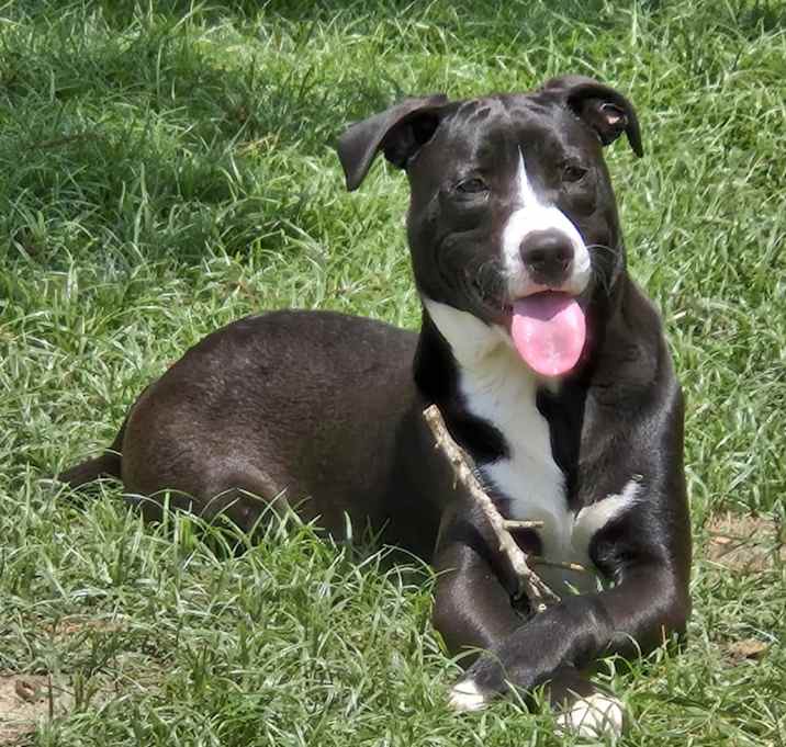 Photo of Sammy