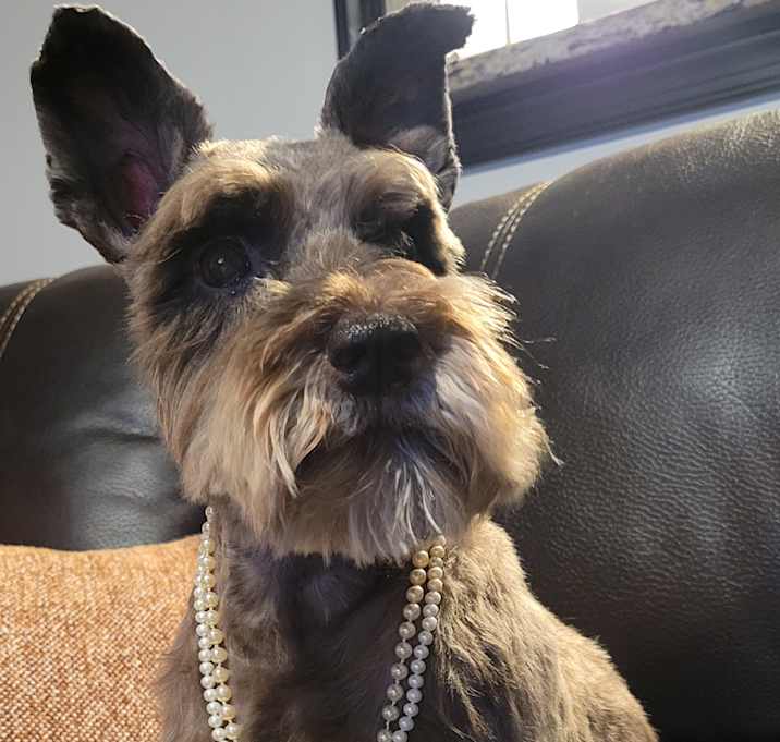 Photo of Sadie
