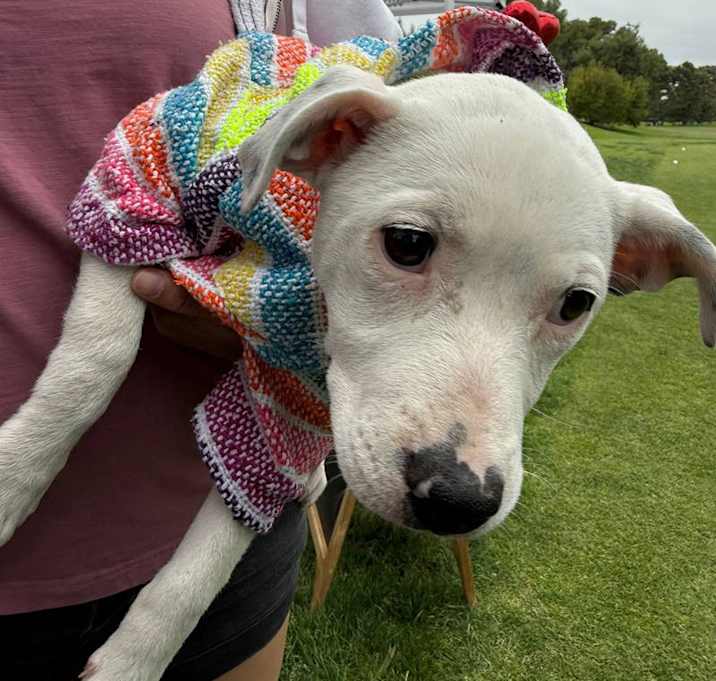 Photo of Dotty