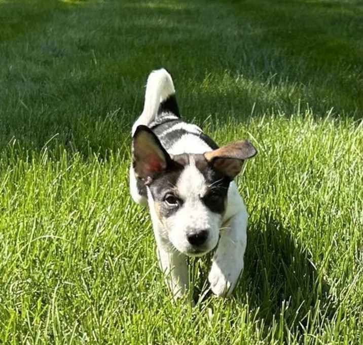 Photo of Max