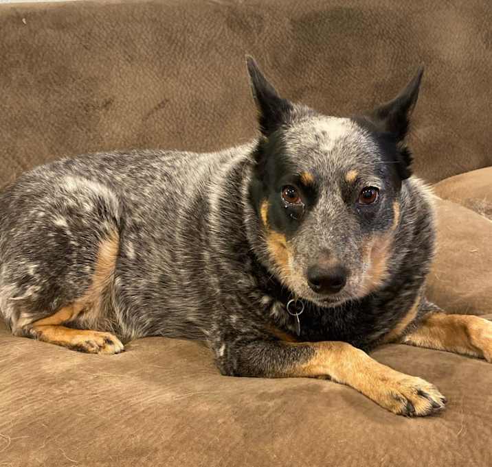 Photo of Sheila