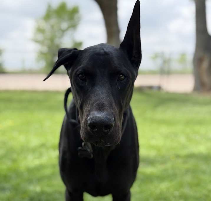 Photo of Kingston