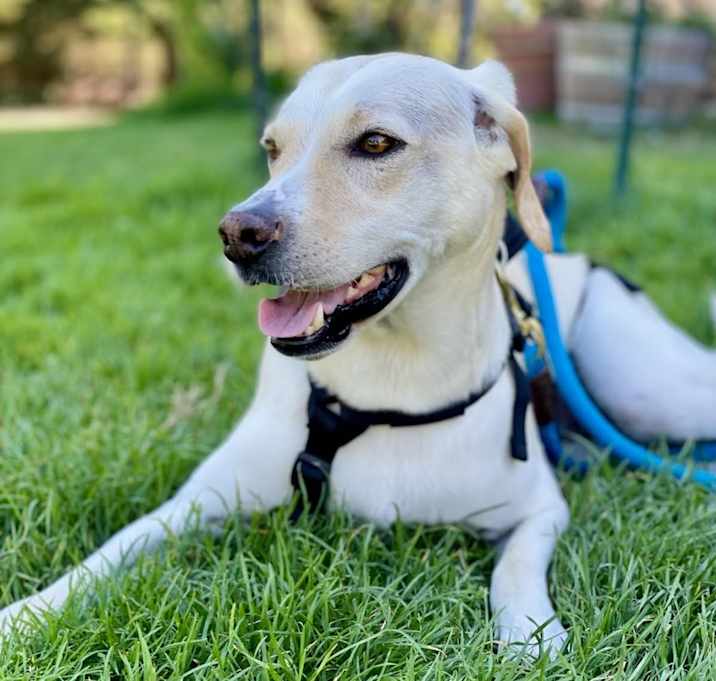 Photo of Sasha