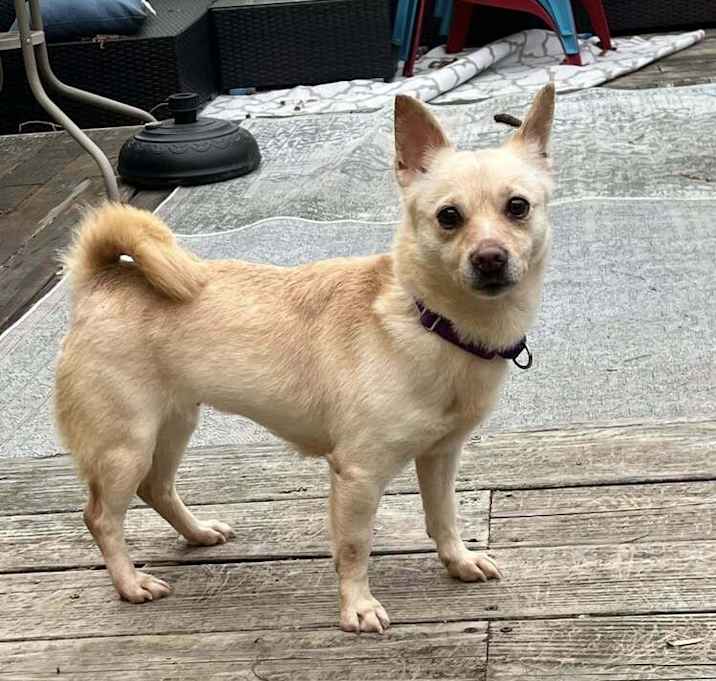 Photo of Sandy Ana