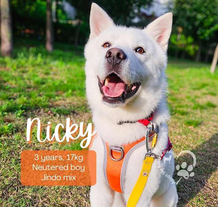 Photo of Nicky