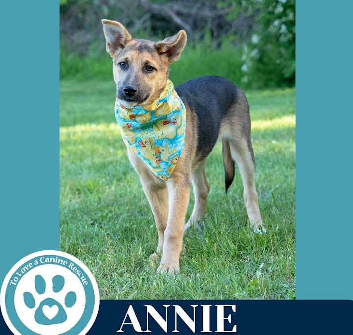 Photo of Annie (A-Listers) 051025