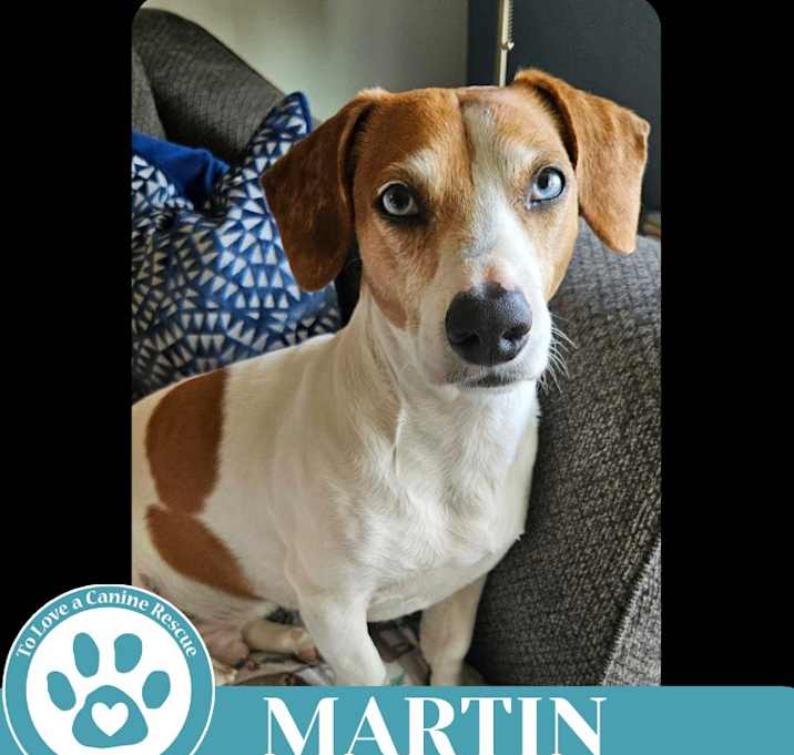 Photo of Martin 051025