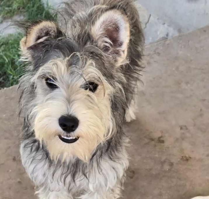 Photo of Trudy