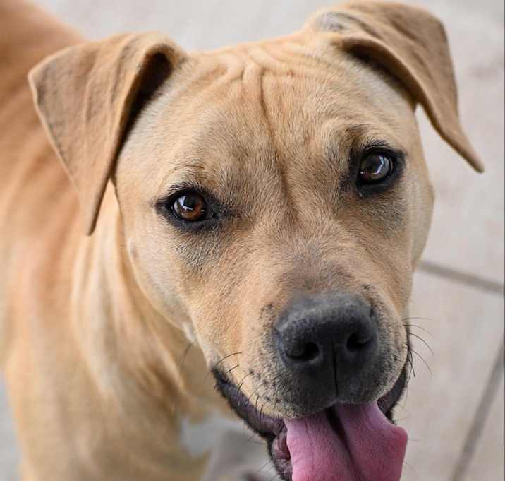 Photo of -*Moxie
