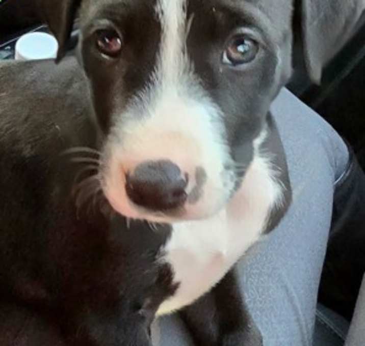 Photo of CHANCE