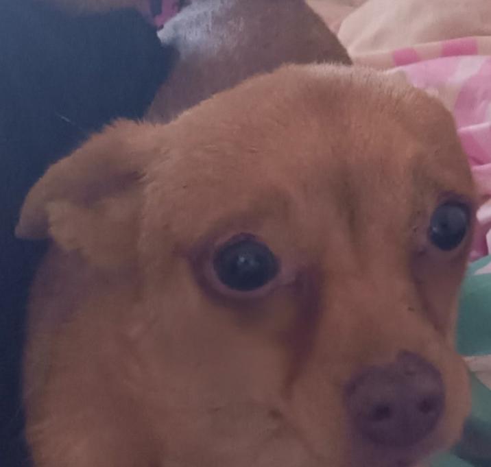 Photo of Tiana