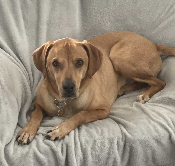 Photo of Finnegan