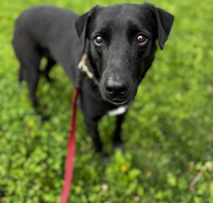 Photo of Remey