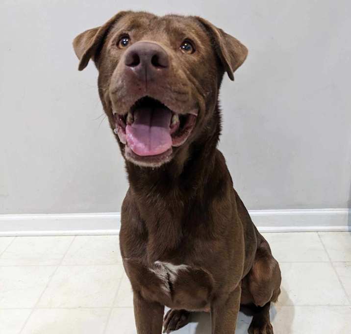 Photo of Choco