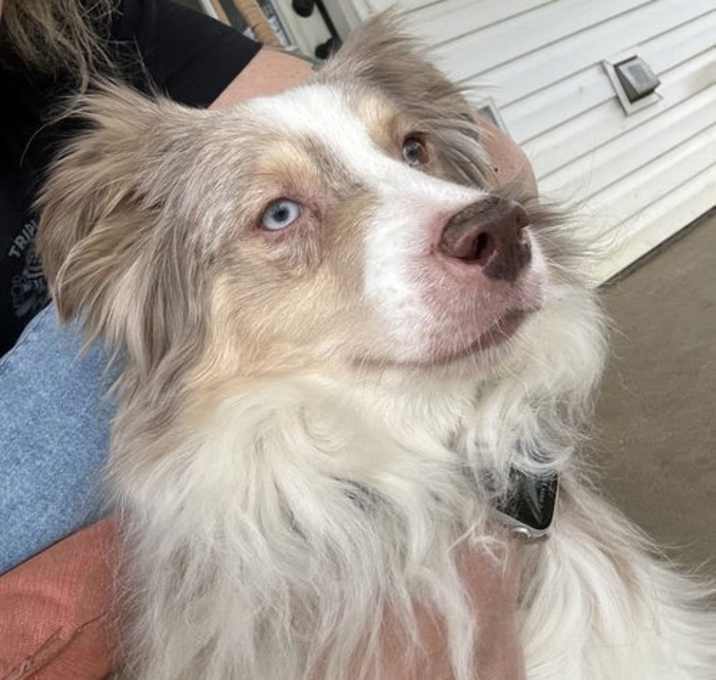 Photo of Rudder