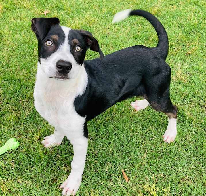 Photo of Tuck 