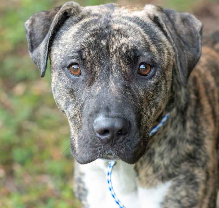 Photo of TIXIE-29773