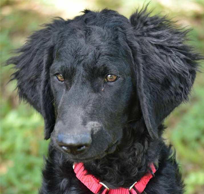 Photo of Fable