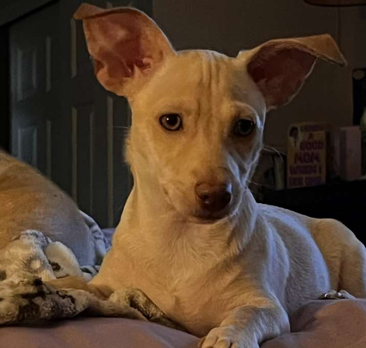 Photo of Arthur