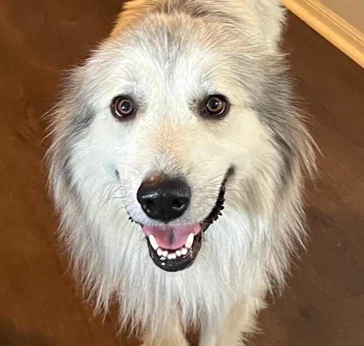 Photo of  MayBelle very sweet! 