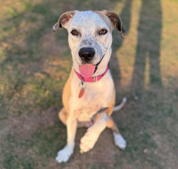 Photo of Leia