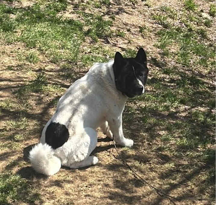 Photo of Turbo