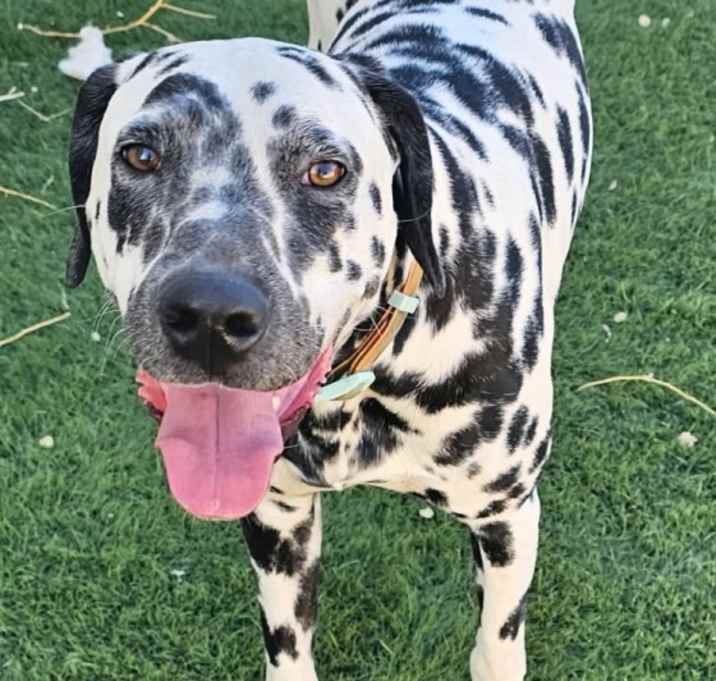 Photo of Aloha