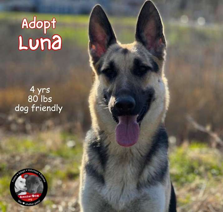 Photo of Luna