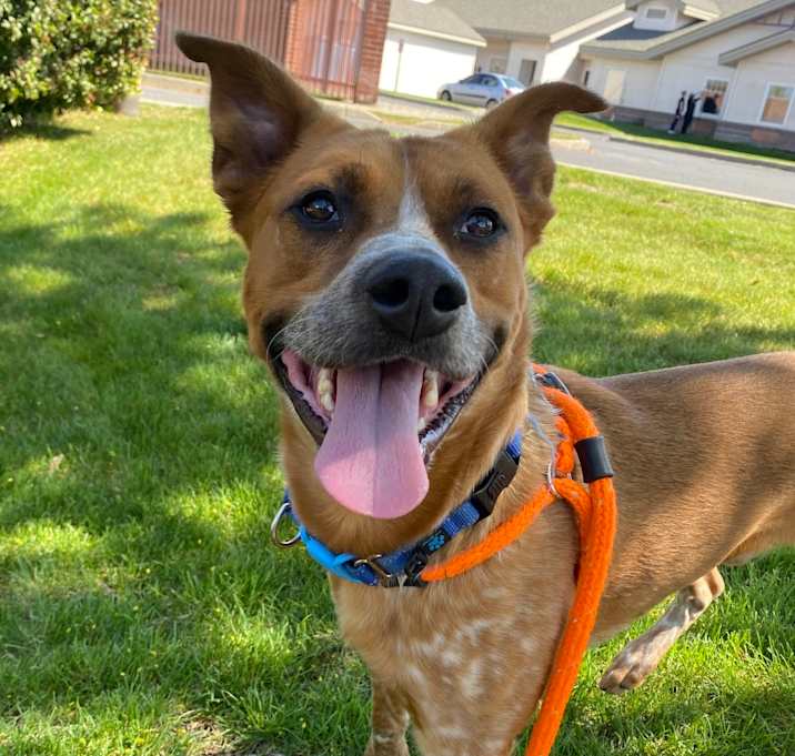 Photo of Doogie