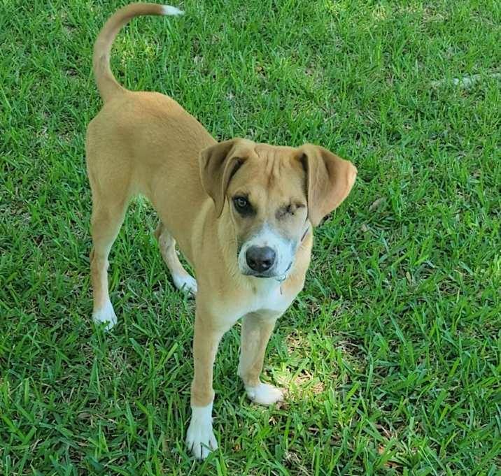 Photo of Honey Grace