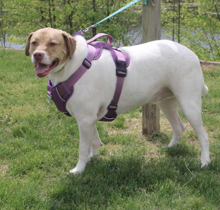 Photo of Finnigan