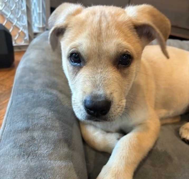 Photo of Baby Diego