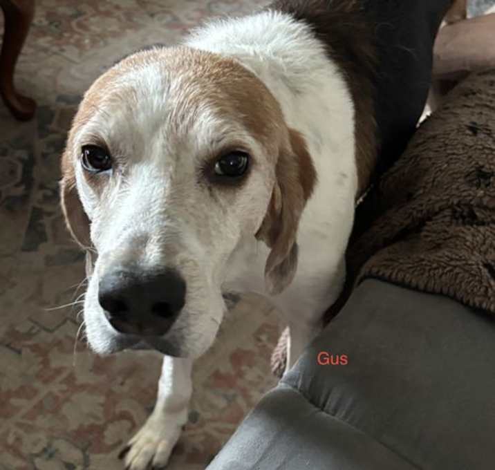 Photo of GUS