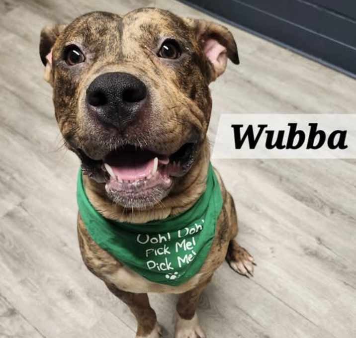 Photo of Wubba