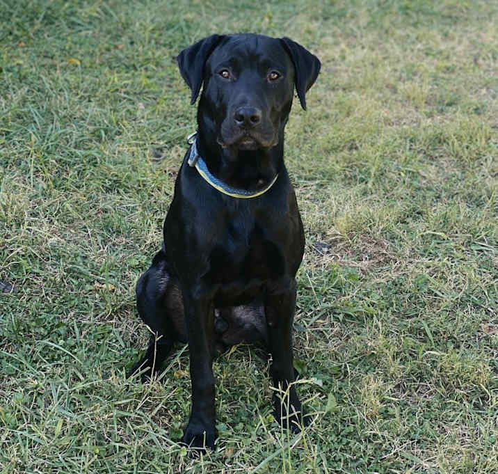Photo of Bucky