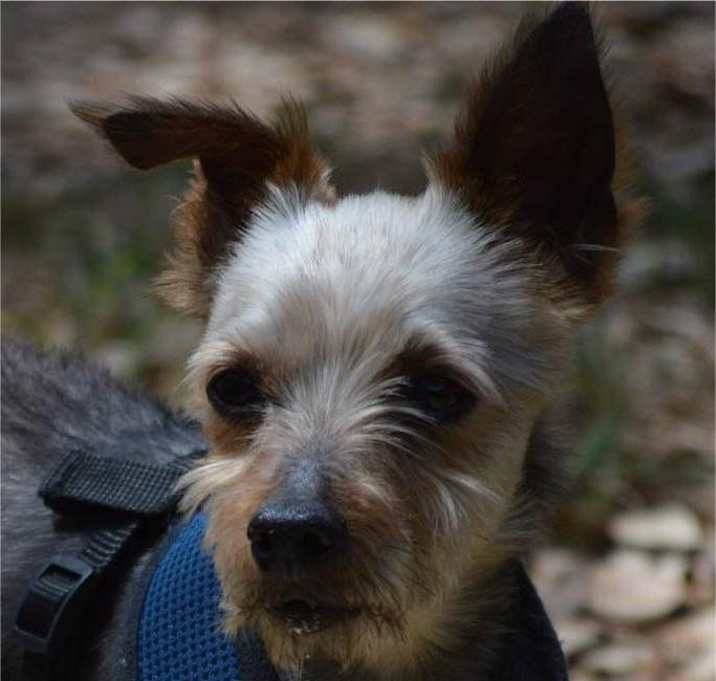 Photo of Willie