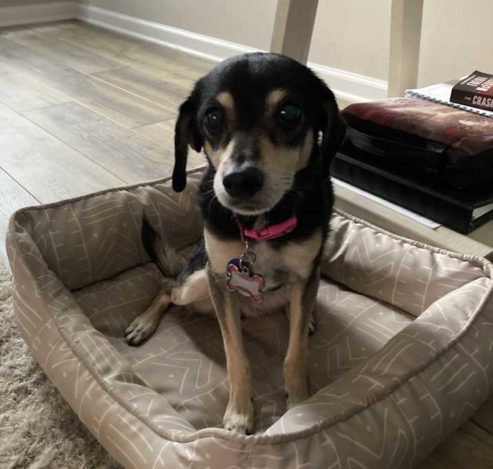 Photo of Lexi
