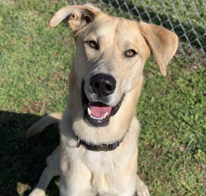 Photo of Colt