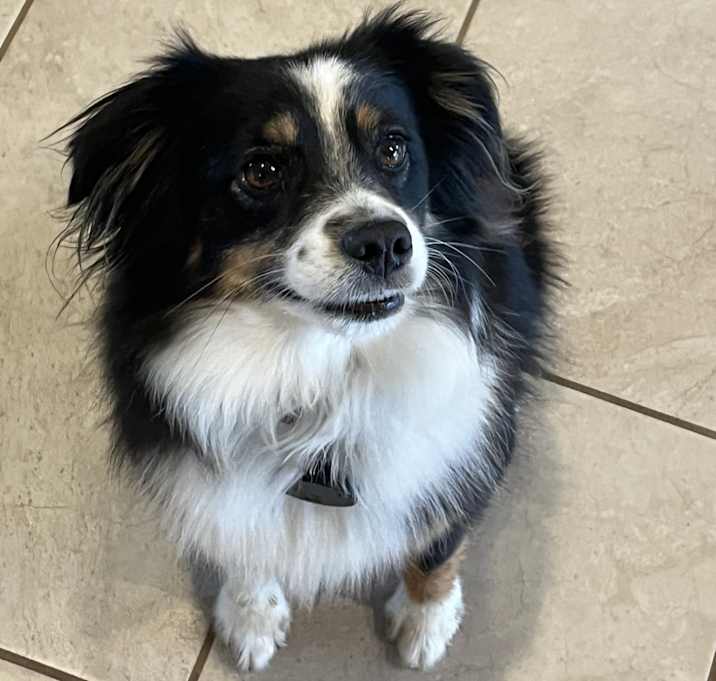 Photo of Lucy