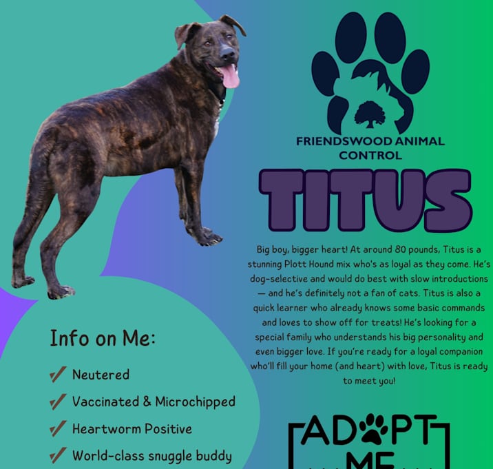 Photo of Titus