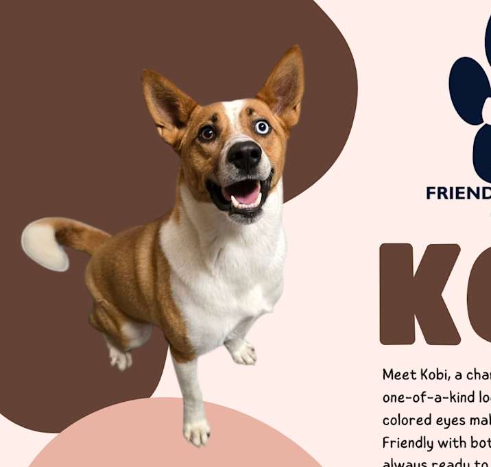 Photo of Kobi