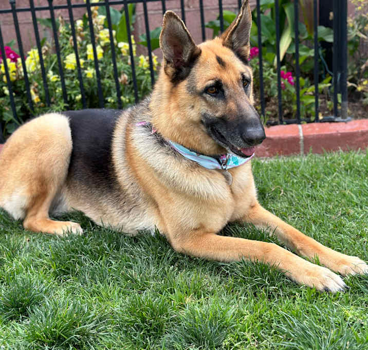 Photo of Selah